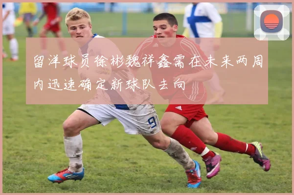 留洋球员徐彬魏祥鑫需在未来两周内迅速确定新球队去向